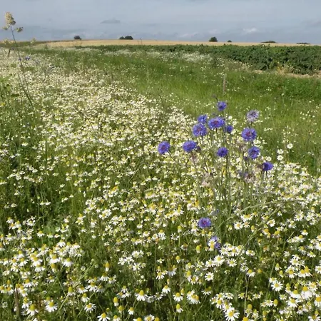 Modern In Condroz Amidst Meadows * Barvaux-Condroz